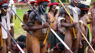 Papua Baliem Valley Festival [upl. by Rocky]