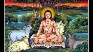 Goraknath Yogi  Jahnaga Baba  Anahata Sacred Sound [upl. by Mendel588]