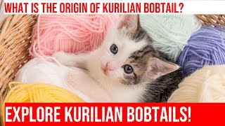 Explore the Kurilian Bobtail History amp Characteristics [upl. by Farmer2]