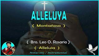 Guitar Instrumental  ALLELUYA  Montañosa   Bro Leo O Rosario [upl. by Hakan]