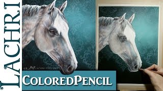 Colored Pencil Demonstration  white horse  Lachri [upl. by Aitas292]