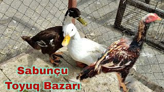 Sabunçu Toyuq Bazarı 24 mart 2024 elixezer2 [upl. by Betta]