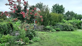 August Full Garden Tour  Ricks Garden Diary  2024 [upl. by Alon]