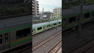 【４K映像】湘南新宿ライン 上り電車 ShonanShinjuku Line inbound train [upl. by Clarisa]