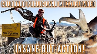 Muzzleloader Antelope Hunting 2022  Public Land Pronghorn in Colorado [upl. by Ajssatan288]