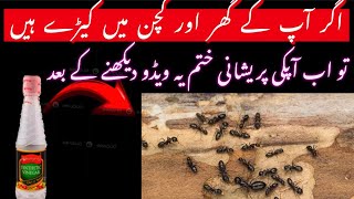 Keeray Makoro se Nijat  get rid of insectsBest kitchen tips [upl. by Nepets]