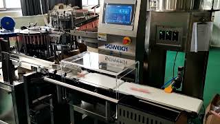 High Speed Automatic Conveyor Check Weigher with Air Blow Reject System [upl. by Branscum950]