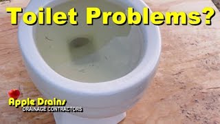 Overflowing Toilet How to Fix Stop Overflow How to Pull Toilet Rough In and Unclog [upl. by Hsakiv]