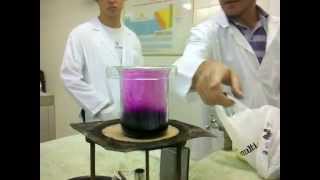 Experimento De Quimica  Sublimação De Iodo  Colégio Santo Inácio [upl. by Yancy]