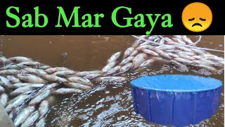 Biofloc fish farming  SAB mar Gaya 😭 [upl. by Octavia]