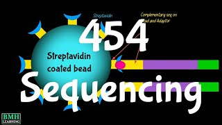 454 Sequencing  Pyrosequencing  Roche Sequencing  Roche 454 [upl. by Gascony]