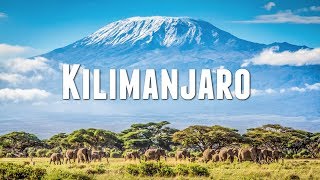 CLIMBING MOUNT KILIMANJARO [upl. by Nerissa121]