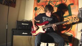 Seymour Duncan Basslines Pickups [upl. by Yeh594]