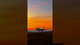 A330aweek fyp qualityviral 4kquality edit aviation aviationedit tapportugal goldenhour [upl. by Eirased]