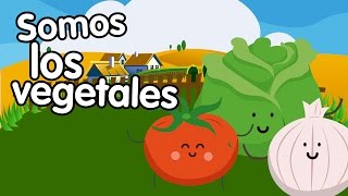 Canción de los vegetales  Canciones Infantiles  Songs for Kids in spanish [upl. by Niehaus]