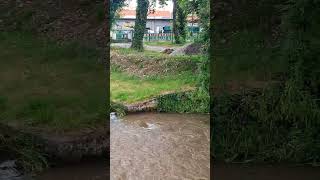 Hochwasser in Thüringen thüringen natur fypage naturwunder Hochwasser fyp [upl. by Ahsenar]