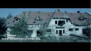 Cosy  O sami mearga struna Official Video 2013 [upl. by Salazar527]