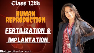 Fertilisation and Implantation  Human Reproduction  in Hindi  what is implantation youtube [upl. by Tadashi]