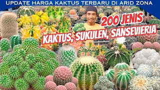 200 Jenis Kaktus Sukulen Beserta Harganya‼️ Update Harga Kaktus Sukulen 2024 Terbaru [upl. by Aikmat22]