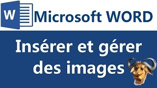 Insérer et gérer des images sous Microsoft Word 2007 2010 [upl. by Lucille]