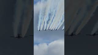 RAAF Roulettes  Pilatus PC21 flyby over Hobart [upl. by Haelahk]