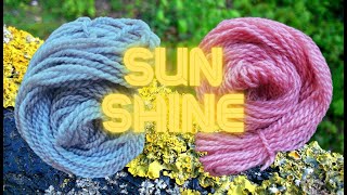 Naturally Dyeing with Xanthoria parietina I Maritime Sunburst Lichen ​⁠WildcraftDyeing [upl. by Charin119]