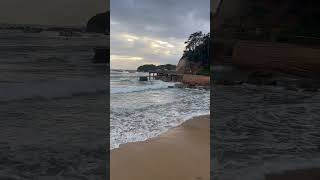 Central Coast Terrigal 🔥🏖️ nsw australia aussietrip [upl. by Aneez]