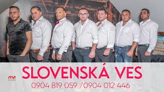 SLOVENSKÁ VES  V tej chvíli COVER [upl. by Eizzil408]