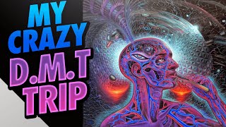 dmt My Crazy DMT Experience [upl. by Alyhs]