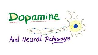 Neurotransmitters  Dopamine amp Dopaminergic Neural Pathways  Physiology amp Pharmacology [upl. by Groome]