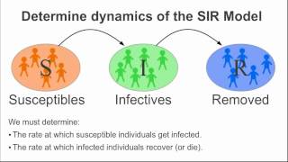 Introduction to an infectious disease model part I [upl. by Ilarrold]