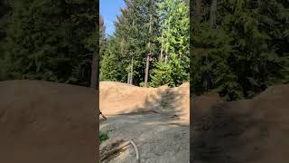 Crabapple Hits🔥🔥🔥extremesports mtb mountainbiking adrenaline [upl. by Oman111]