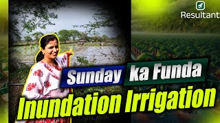 Inundation Irrigation🌿  Irrigation Engineering  Sunday ka Funda  Resultant GATE [upl. by Suchta]