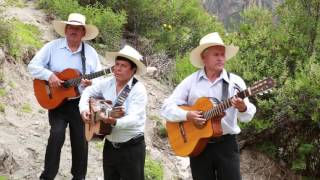 QUINTETO UNION DE COTAHUASI No me digas Huayno Arequipa [upl. by Dardani6]