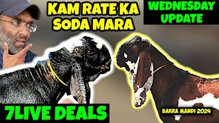 KAM RATE KA SODA MARA💥7 LIVE DEALS 🔥 WEDNESDAY UPDATE  BAKRA MANDI 2024  SHAUK WITH HAMMAD [upl. by Eiramlehcar]