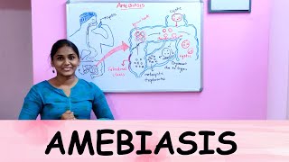 AMEBIASIS PATHOPHYSIOLOGY [upl. by Ydne855]