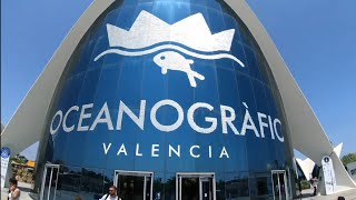 Valencia Oceanogràfic Tickets Price 2024 Belépő Mennyibe Kerül [upl. by Eeliab]