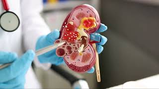 RENAL PHYSIOLOGY PART I the kidneys [upl. by Yuhas]