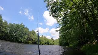 Lackawaxen River PA Trout Fishing 20220627 [upl. by Lindo]