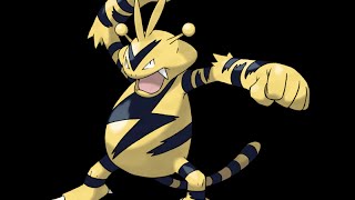 Eviolite Candidate Electabuzz [upl. by Beka]