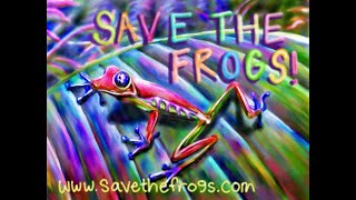 SAVE THE FROGS Concurso De Arte [upl. by Idihc482]