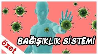 Bağışıklık Sistemi Özet  AYT Biyoloji [upl. by Meggi]