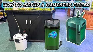 HOW TO SETUP A CANISTER FILTER FOR FISH TANK  HOW TO START EXTERNAL CANISTER FILTER [upl. by Rip]