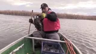 AS BIG AS THEY GET SASKATCHEWAN BLACK BEAR HUNT OF A LIFETIME [upl. by Omland]