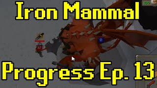 Oldschool Runescape  2007 Iron Man Progress Ep 13  Iron Mammal [upl. by Wilone855]