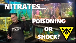 NITRATESPoisoning Or Shock How to Reduce Nitrates [upl. by Norman]