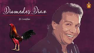 EL CORDOBES  DIOMEDES DIAZ PARRANDA [upl. by Rizas260]