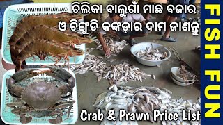 chilika balugaon fish market and fish prawn crab price list [upl. by Alleinnad]