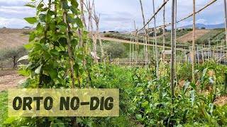 Coltivare senza lavorare il terreno Il progetto Akape di agricoltura rigenerativa e permacultura [upl. by Ymerrej]