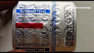 Sporidex 250 Capsules Uses amp Side Effects  Cephalexin All Details sporidex sporidex 250 price [upl. by Acey990]